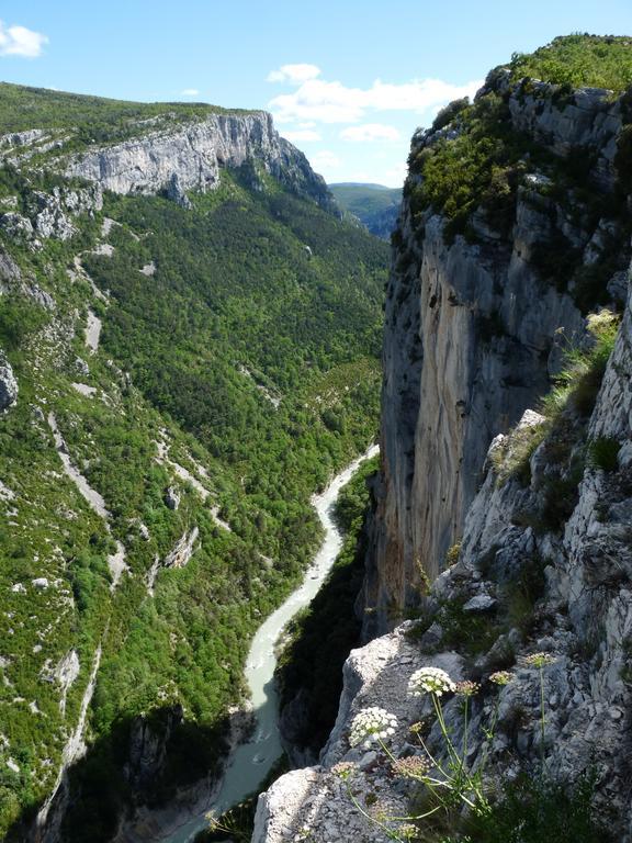 Les Jardins De L'Ermitage Bed & Breakfast Les Salles-sur-Verdon Exterior photo
